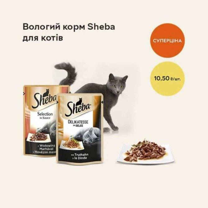Корм для кошек шеба (sheba): обзор, виды, состав, отзывы