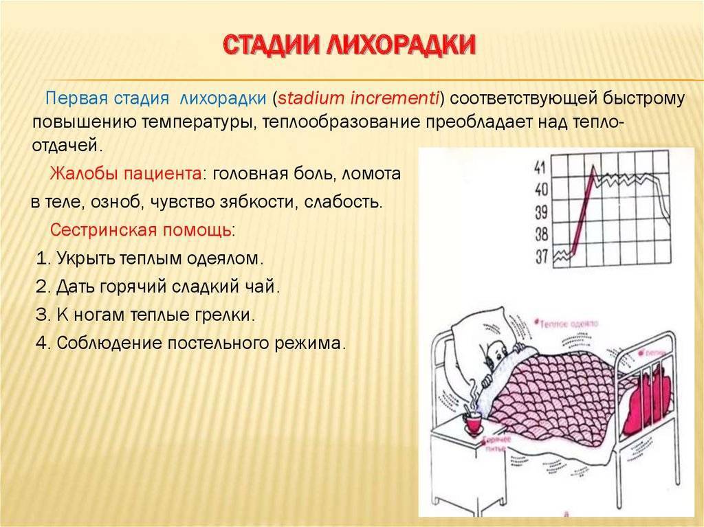 Судороги у ребенка без температуры, ночью во сне: причины, первая помощь