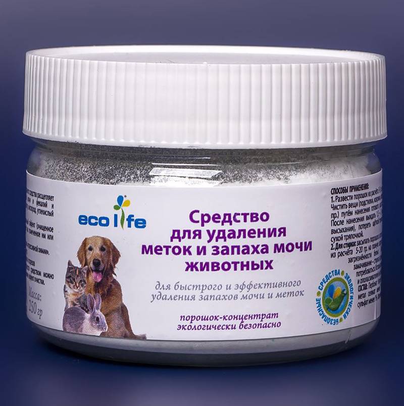 Как избавиться от запаха кошачьей мочи