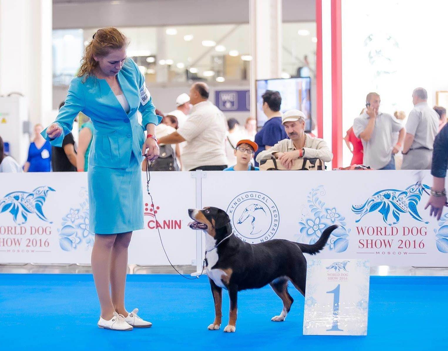 Крупнейшие шоу fci в 2019-2021 годах