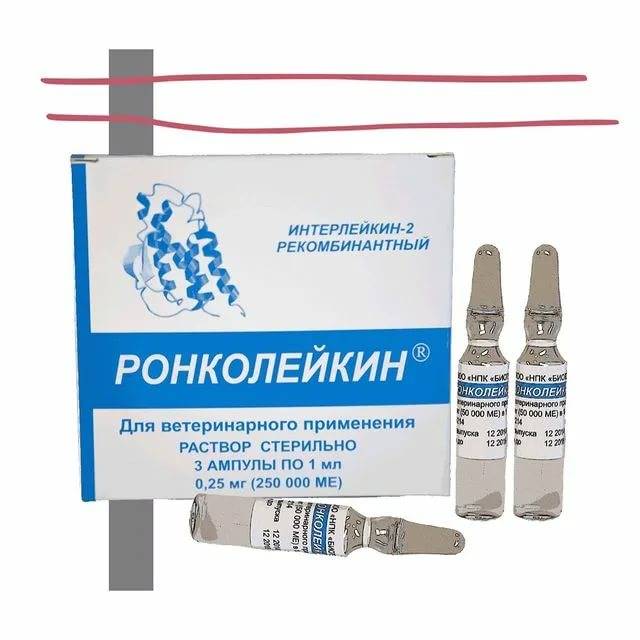 Лекарственное средство ронколейкин для собак: инструкция по применению
