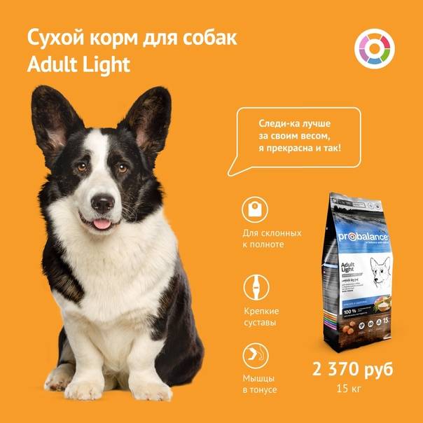 Сухой корм для собак probalance («пробаланс») — обзор и описание линейки, производитель, состав, виды, плюсы и минусы