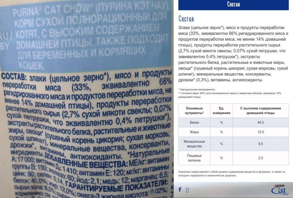 Корм для кошек кэт чау (cat chow): обзор, виды, состав, отзывы