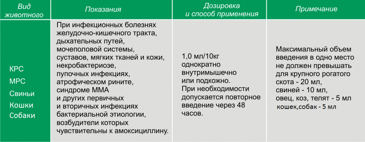 Амоксициллин