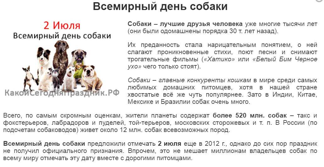 Всемирный день животных в 2023 году: какого числа отмечают, дата и история праздника