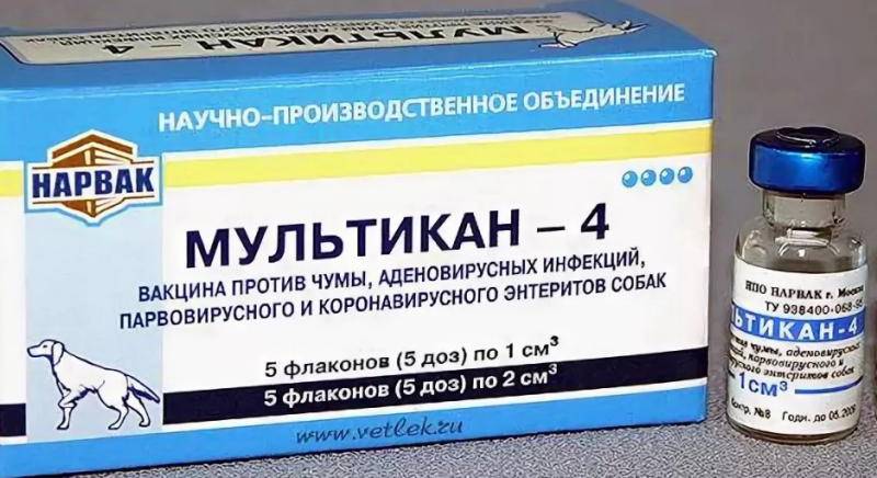 Чума - симптомы болезни, профилактика и лечение чумы, причины заболевания и его диагностика на eurolab