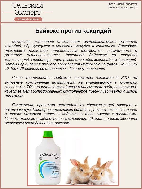 Байкокс для цыплят: инструкция по применению, дозировка, аналоги