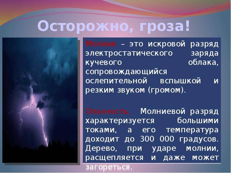 Как успокоить собаку во время грозы