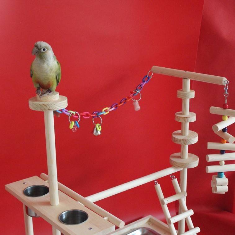 Как сделать игровую площадку для попугая своими руками - инструкция