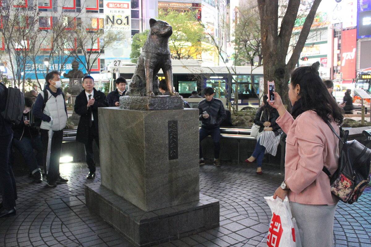 Хатико в каком городе. Сибуя Токио памятник Хатико. Памятник Хатико на станции Сибуя. Памятник собаке Хатико в Японии. Статуя Хатико у станции Сибуя.