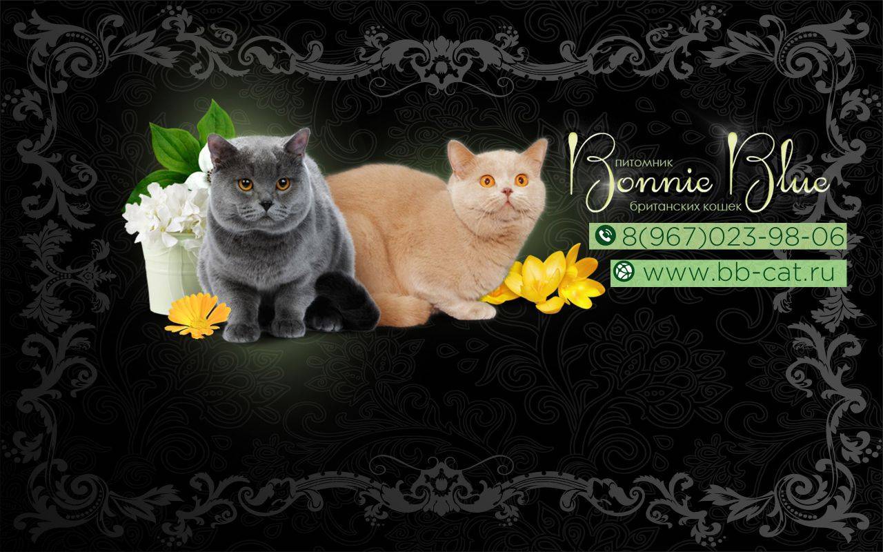 Питомники растений — floraprice.ru