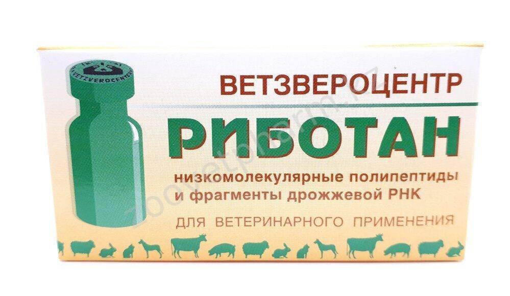«риботан» для собак: дозировка, инструкция по применению