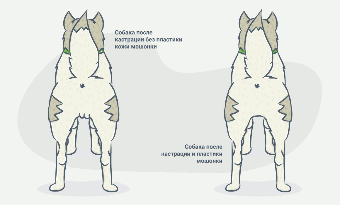 Рейтинг надежности методов контрацепции