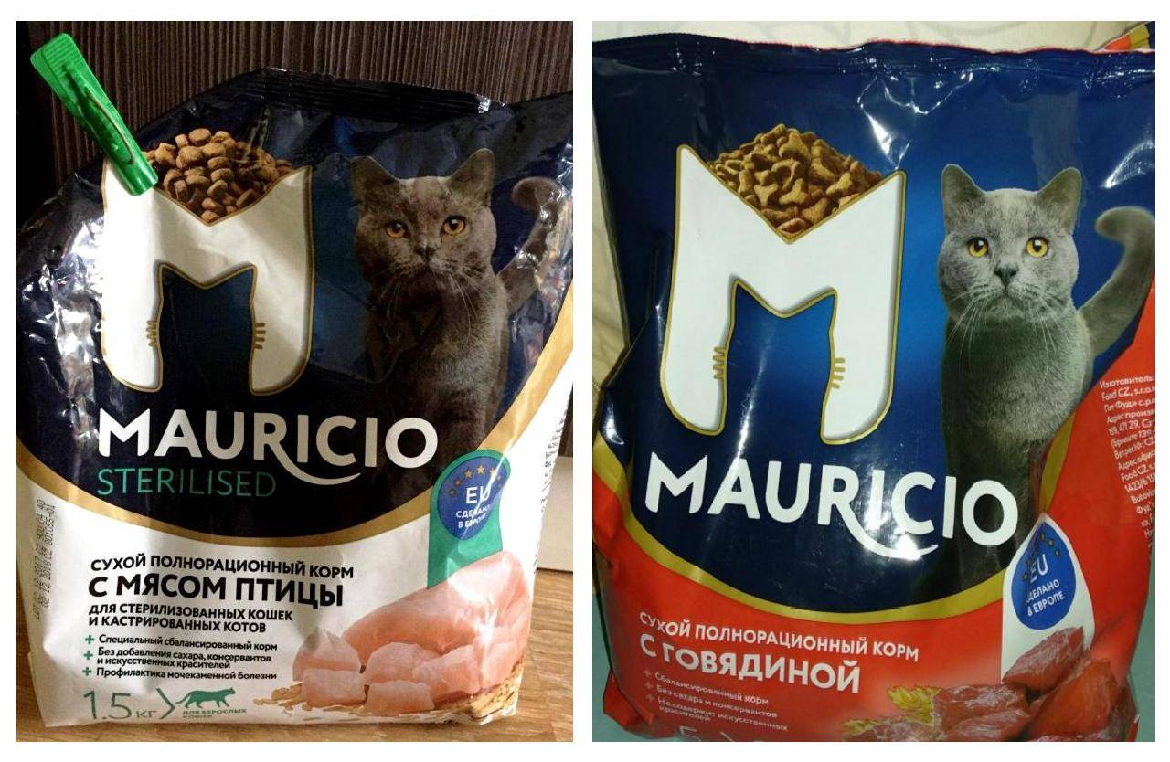 ᐉ корм для кошек mauricio («маурицио»): отзывы о нем ветеринаров и владельцев животных, его состав и виды, плюсы и минусы - getzoofood.ru
