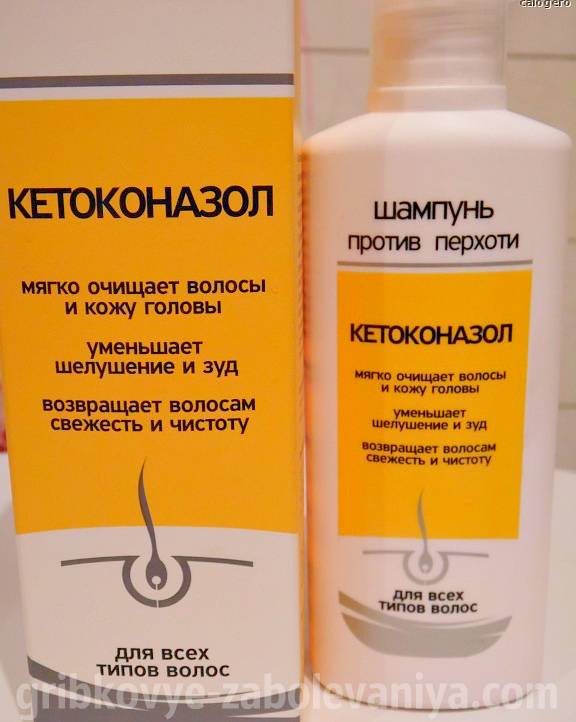 Перхоть у собаки: возможные причины и способы лечения