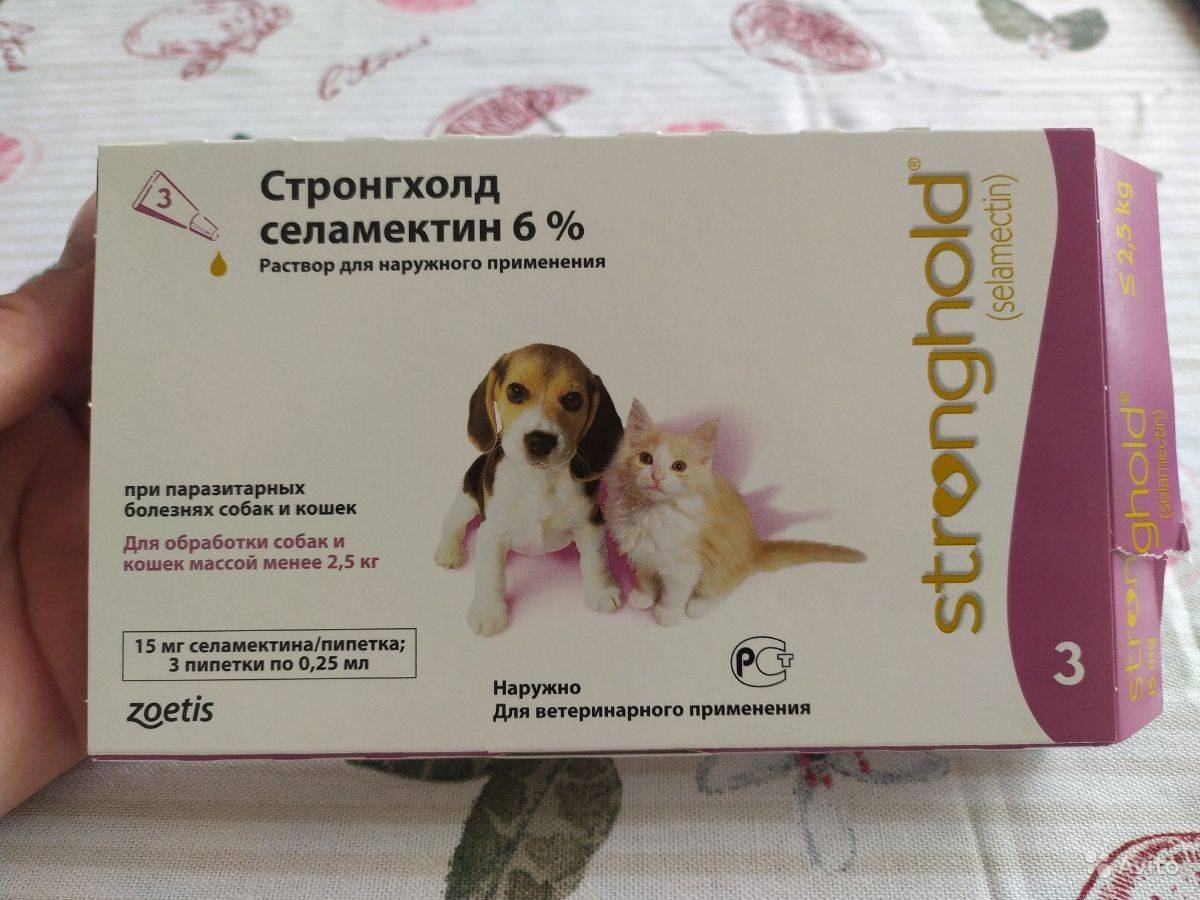 Стронгхолд для собак