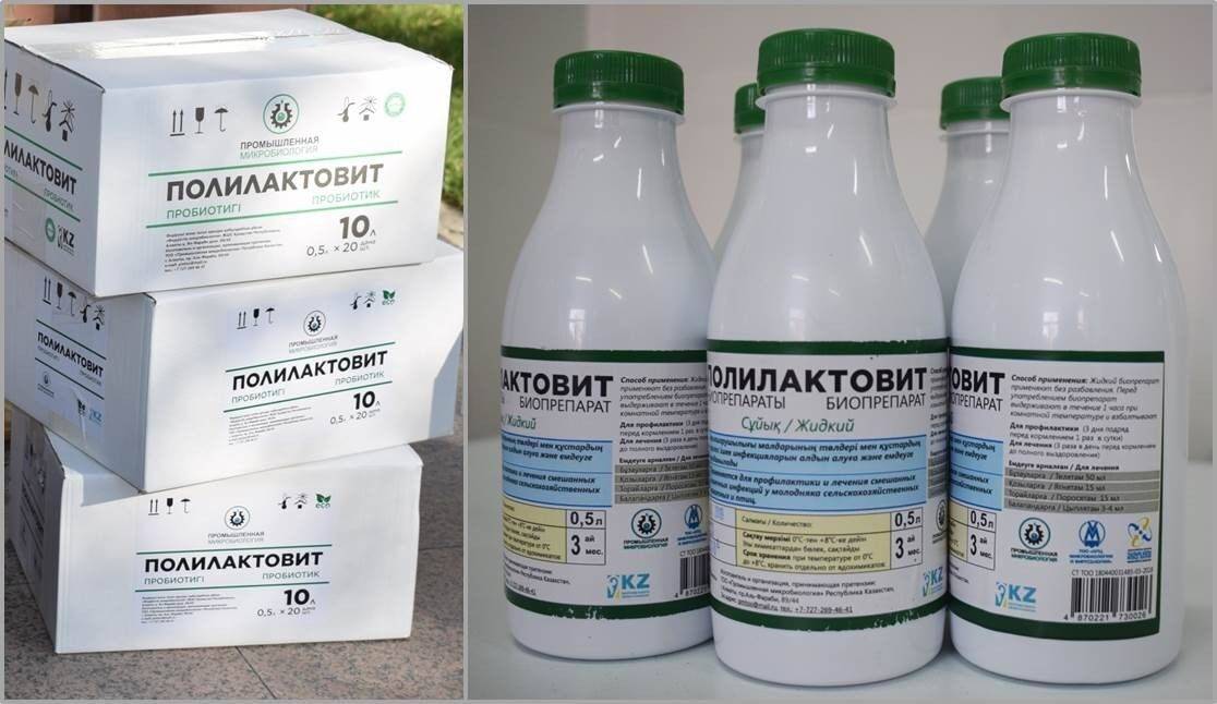 Кокцидиоз у кроликов