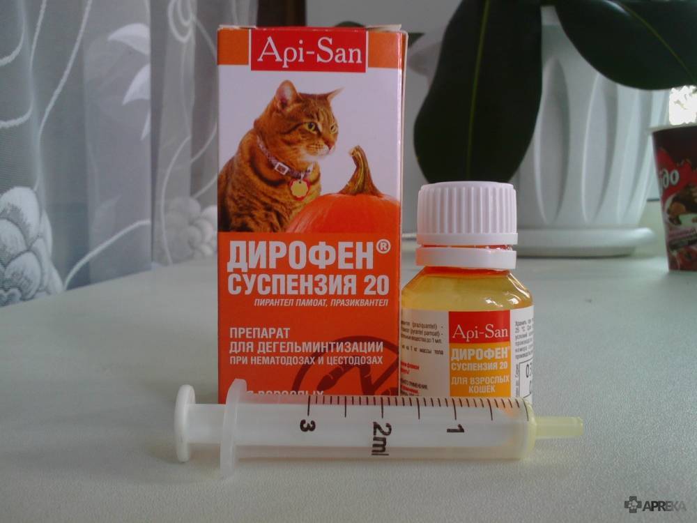 Какие таблетки можно давать котам. Слабительные капли для кошек. Препараты от запора для кошек. Таблетки от запора для котов. Слабительные препараты для кошек.