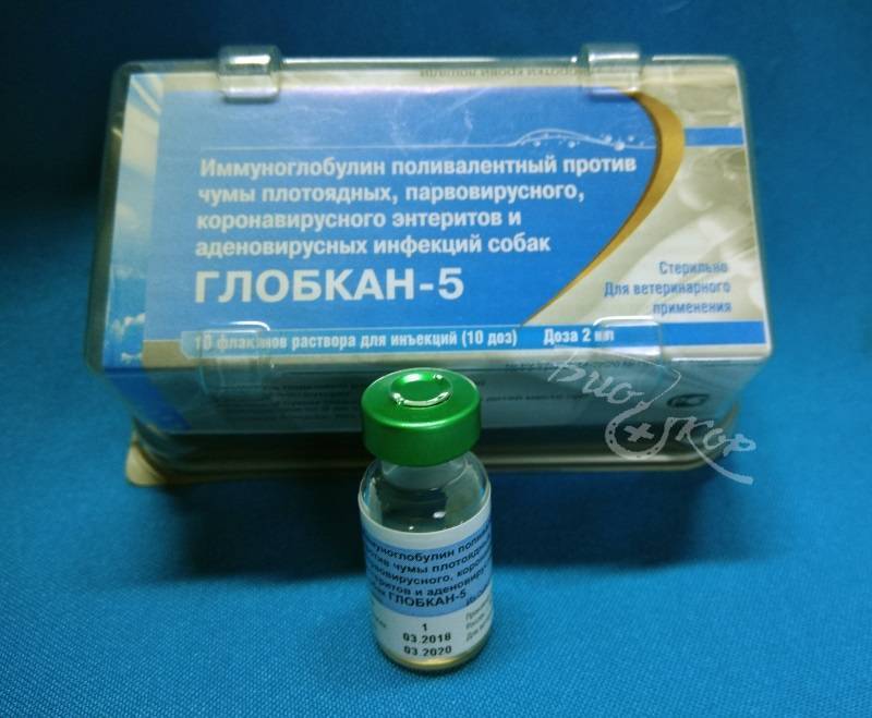 Амброксол — инструкция по применению препарата
амброксол — инструкция по применению препарата