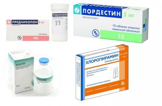 Бронхит  у детей - опасность, симптомы, причины, лечение | детская пульмонология см-клиники в спб