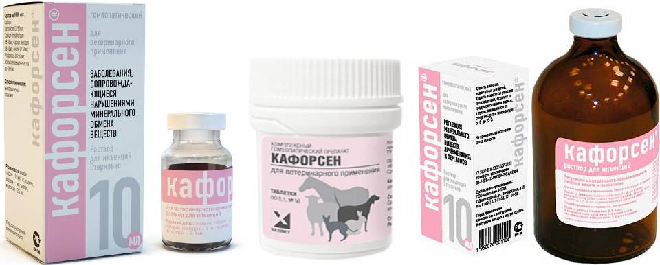 Кафорсен для собак: инструкция по применению, особенности назначения и отзывы ветеринаров
