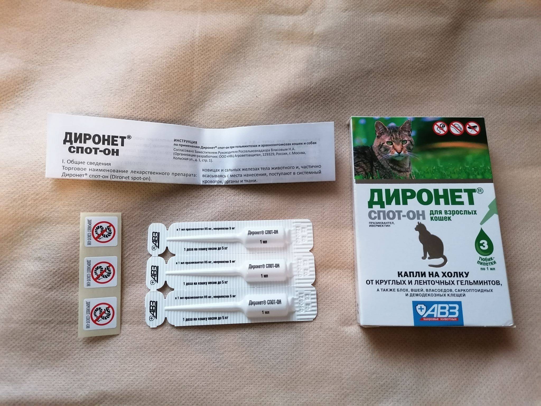 Капли на холку от глистов для кошек: удобно, быстро, эффективно