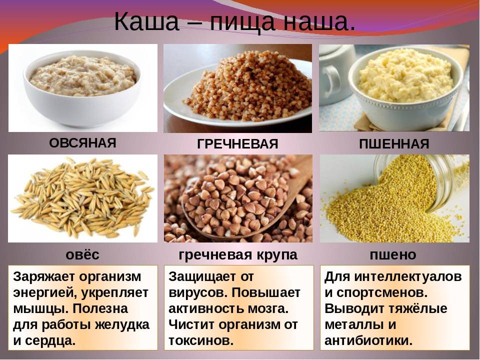 Какие каши можно собакам и с чем их давать | «дай лапу»