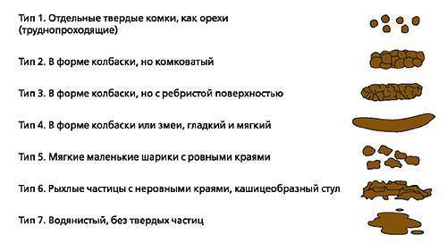 Запор у кролика что делать, кролик не ходит в туалет по большому
