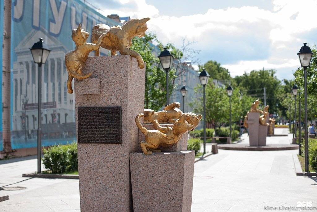 Сквер сибирских кошек: описание, история, экскурсии, точный адрес