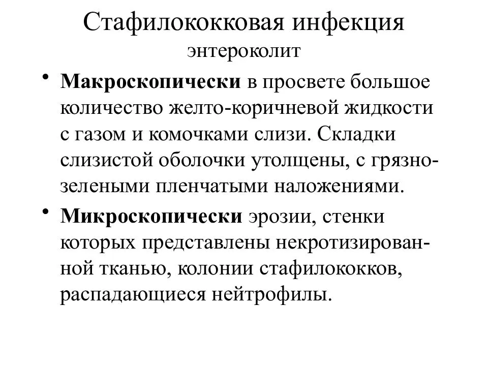 Энтероколит у собак - симптомы и лечение воспалений кишечника у собак. ветеринарная клиника "зоостатус"