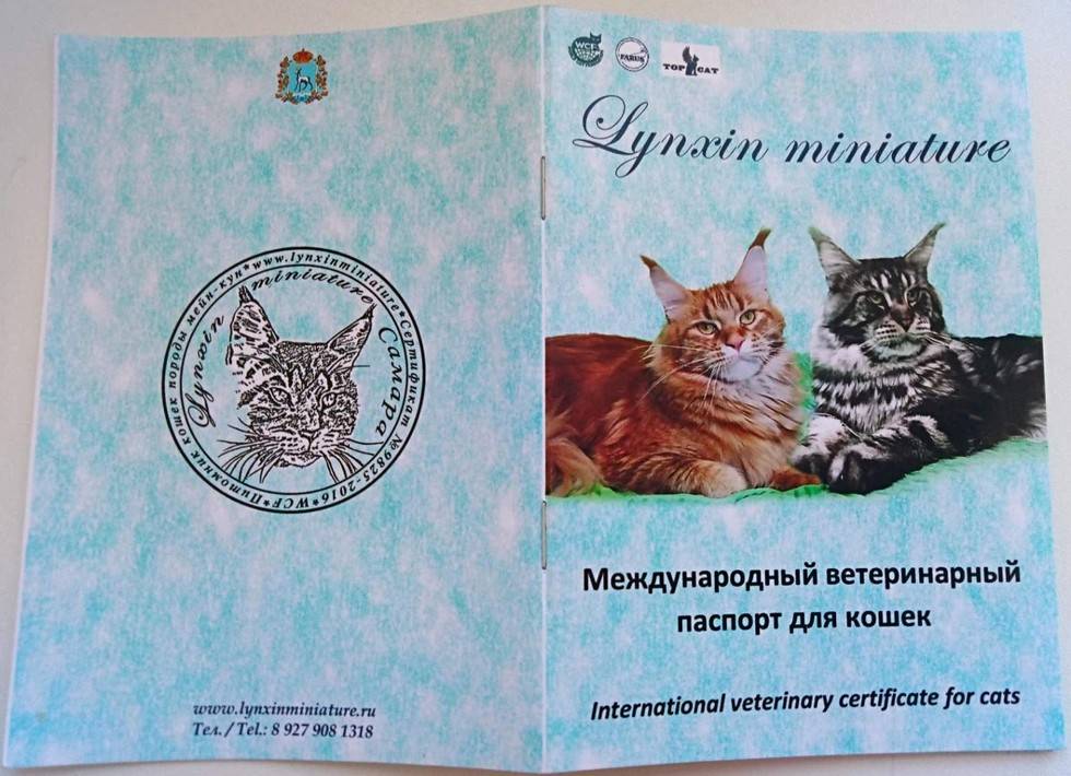 Как заполнять международный ветеринарный паспорт для кошек, заполнение ветпаспорта