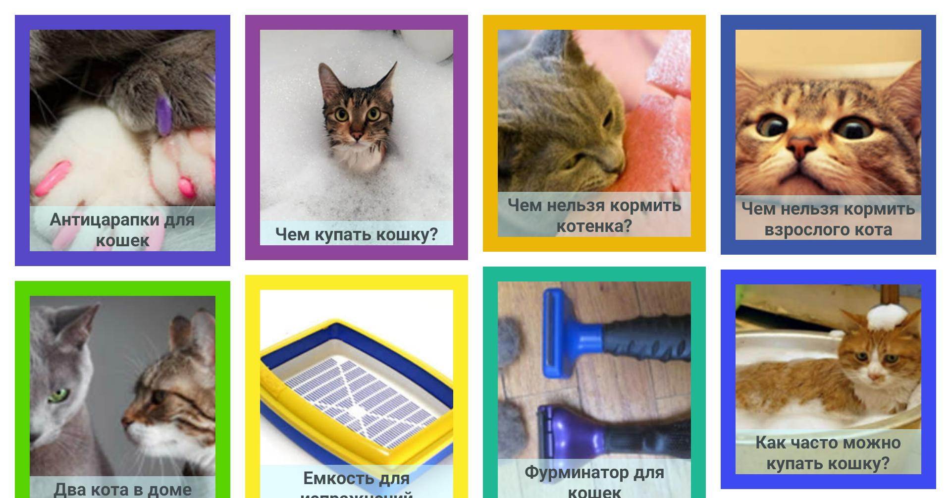 Как содержать кошку в квартире: советы и рекомендации