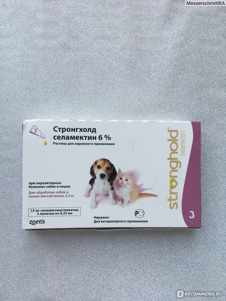 Стронгхолд для кошек и собак: инструкция по применению, описание, противопоказания, побочные действия | препараты | наши лучшие друзья