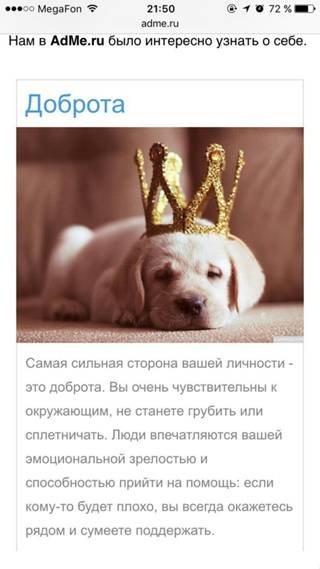 Полное имя арчи щенка