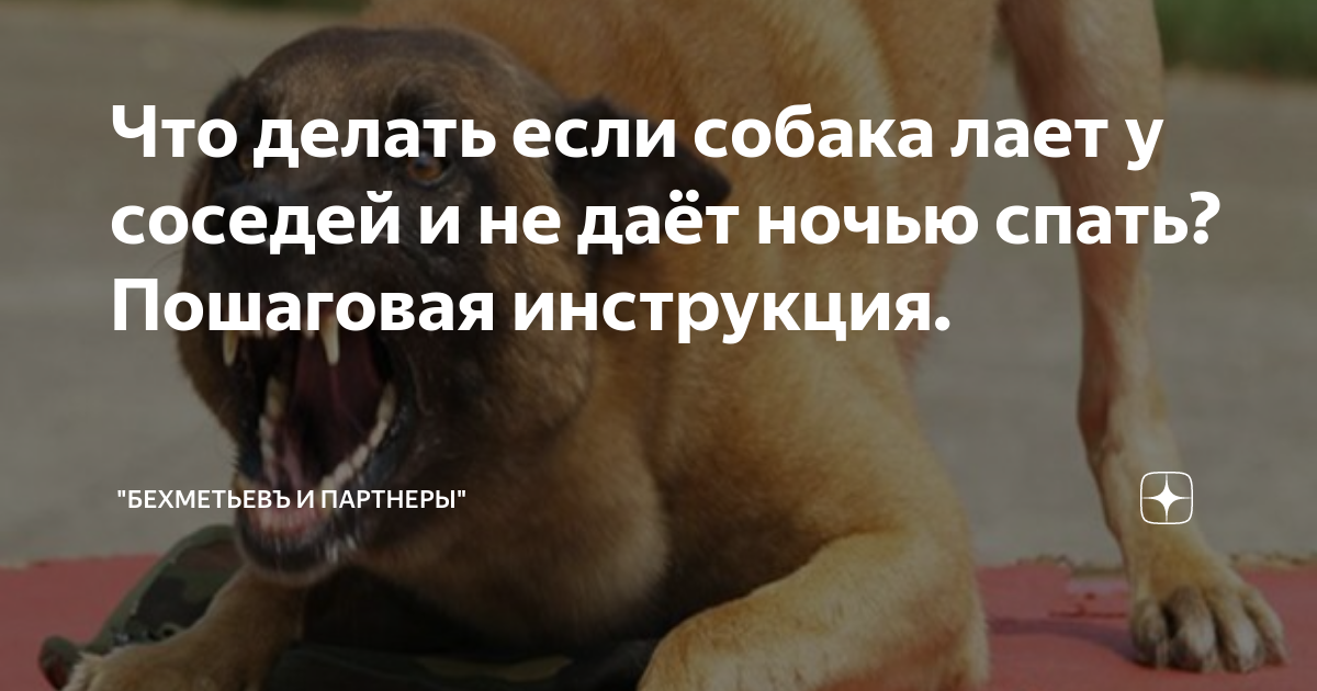 Почему собака воет: причины, дома, во дворе, на луну, приметы