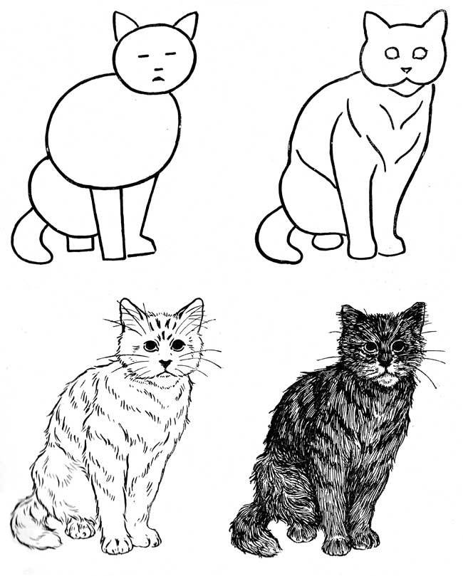 Покажи рисунки нарисованные карандашом. Кошка рисунок. Этапы рисования кошки. Кот для рисования. Кошка рисунок карандашом.