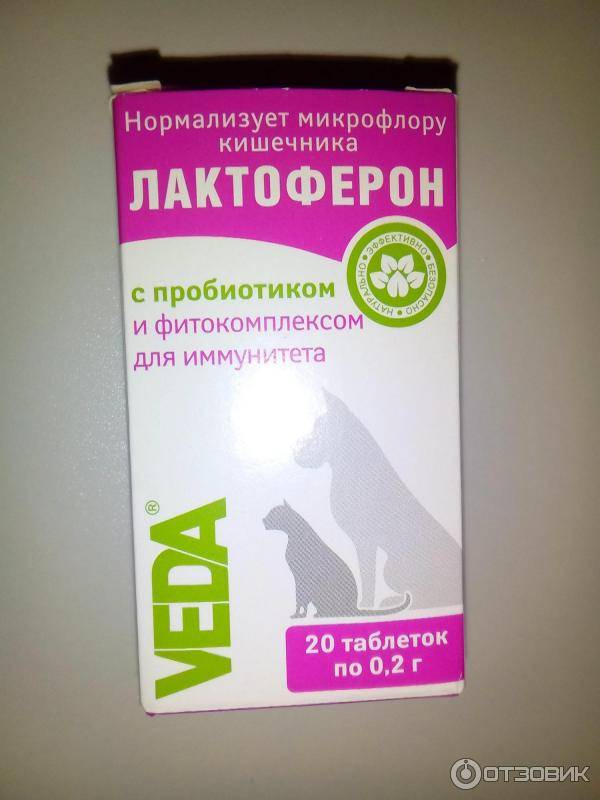 Пробиотики: свойства и польза для человека | food and health