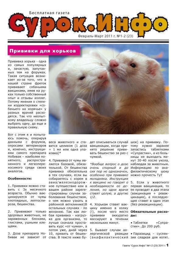 Вакцинация хорьков, какие прививки хорькам делаются