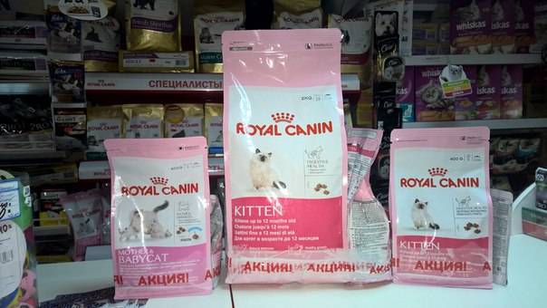 «роял канин» (royal canin) для котов и кошек: описание и виды премиум корма