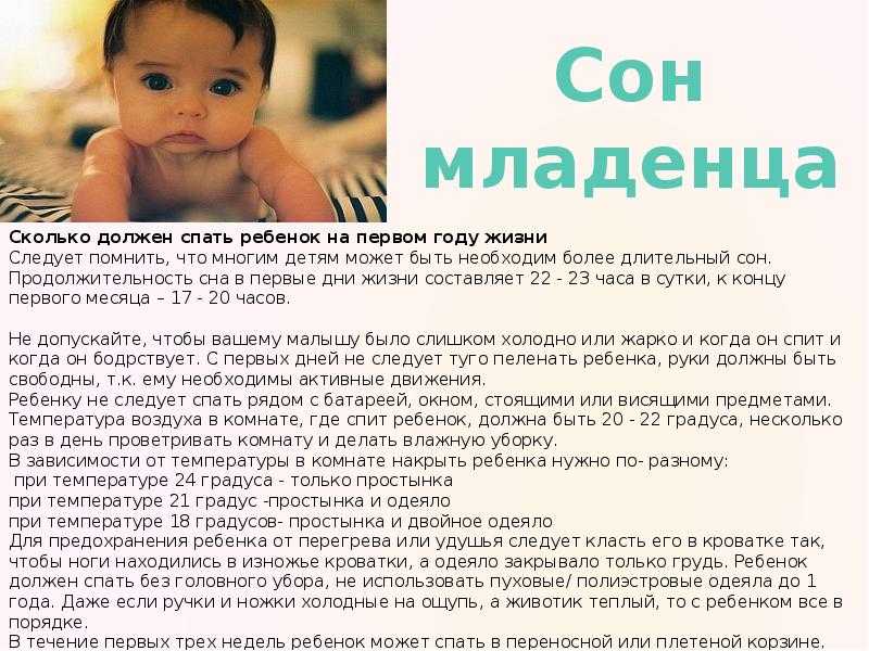 Уход за щенком в первый месяц жизни: чем кормить, сколько гулять? что нужно маленькому щенку в первый месяц его жизни