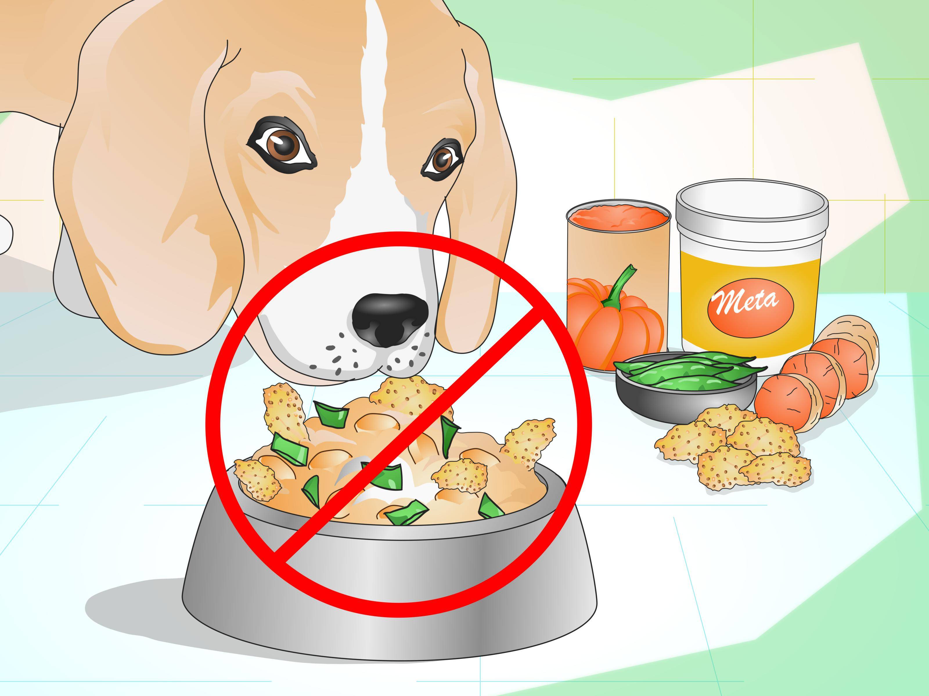 Субпродукты для собаки: какие давать, как часто и в каком количестве, чтобы не было вреда. наиболее ценные субпродукты и особенности их скармливания