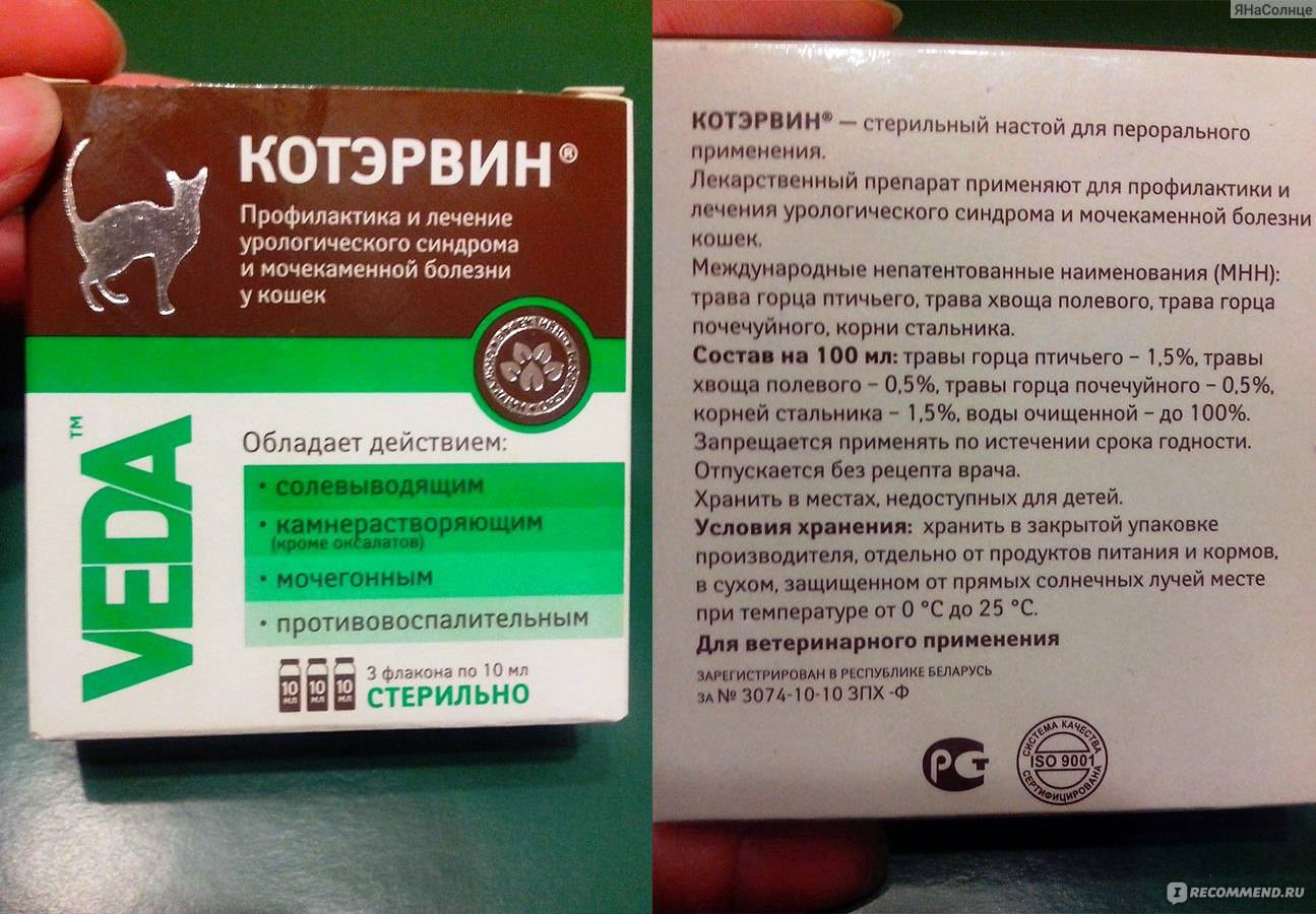 Какие таблетки нельзя делить, ломать и разминать. маркировка неделимых лекарств