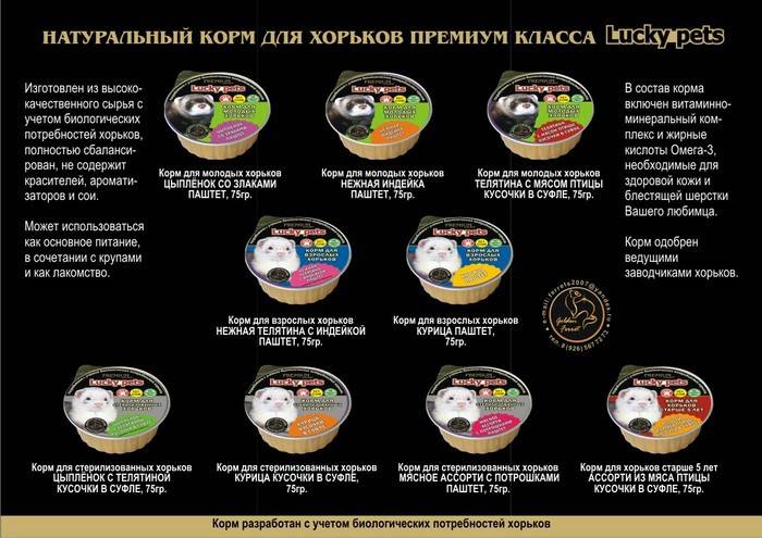 Чем кормить хорька в домашних условиях: фаршекаша, сухой корм и сколько раз давать в пищу