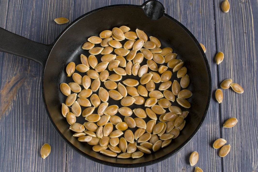 Чем можно и нельзя кормить шиншиллу. списки полезных и вредных продуктов