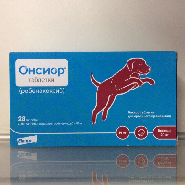 Онсиор
