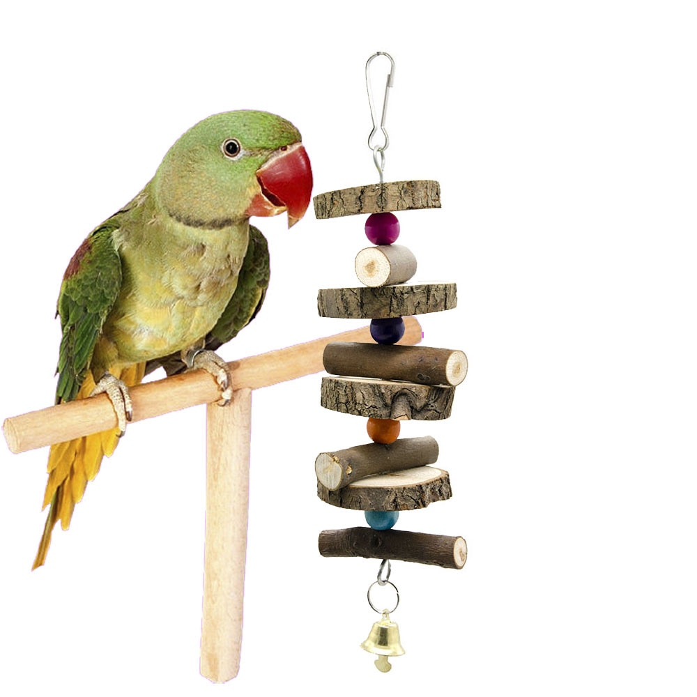 Как выбрать и сделать игрушки для попугая своими руками