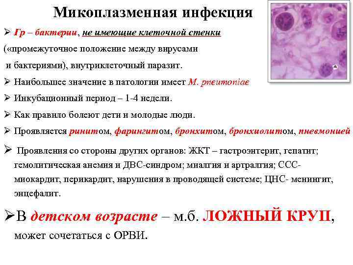 Микоплазменная пневмония симптомы у взрослых