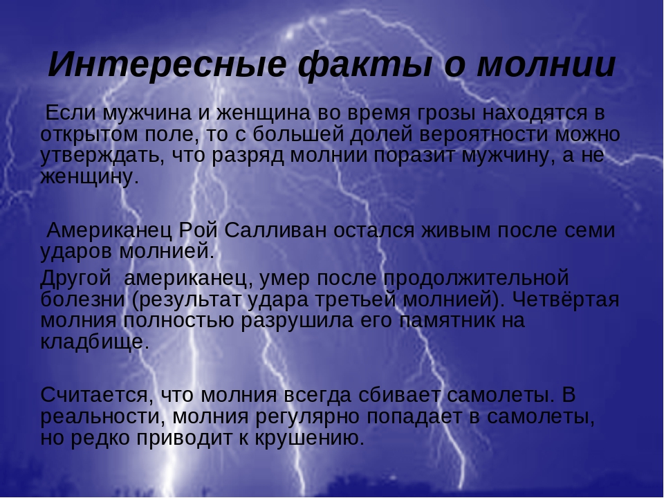 Собака боится грозы: что делать, как успокоить