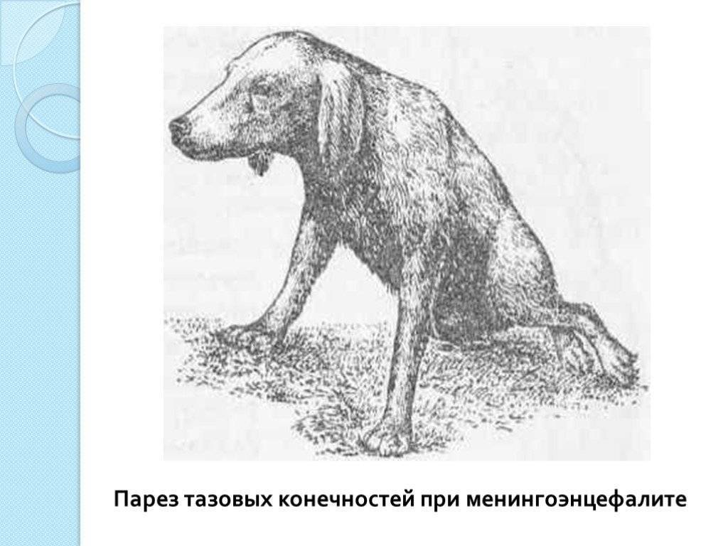 Нервные расстройства и их основные типы, статья от israclinic. симптомы нервных расстройств (неврастения, навязчивые состояния, истерия), методики лечения нервных расстройств в израиле, профилактика нервных расстройств - клиника israclinic