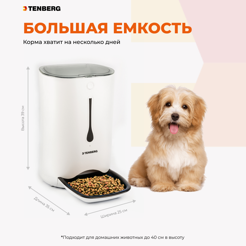 Топ-8 автоматических кормушек для кошек и собак